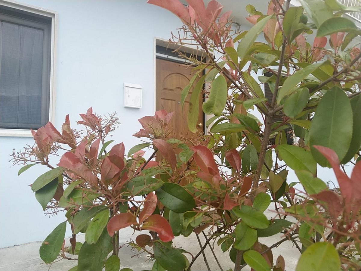 Rosa Dei Venti House Villa Campomarino  Eksteriør bilde