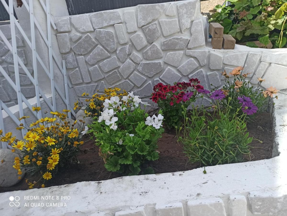 Rosa Dei Venti House Villa Campomarino  Eksteriør bilde