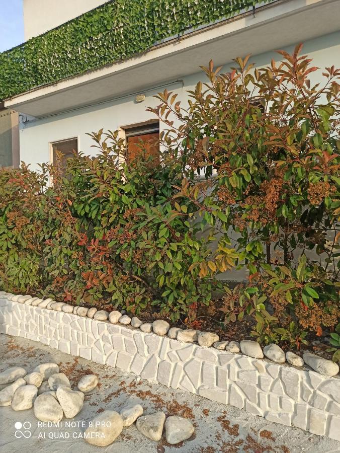 Rosa Dei Venti House Villa Campomarino  Eksteriør bilde